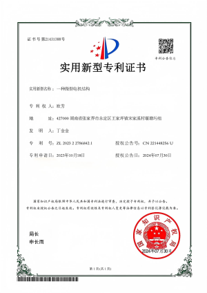 一種微型電機結構.png